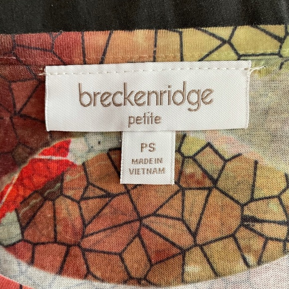 🆑🎉LAST CHANCE!!🎉 Short sleeved breckenridge top - Picture 4 of 6